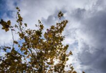 Καιρός αύριο: Άνοδος της θερμοκρασίας σχεδόν σε όλη τη χώρα kairos emu 1200x630.jpg