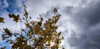 kairos emu 1200x630.jpg