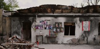 kibbutz ap 1 1200x630.jpg