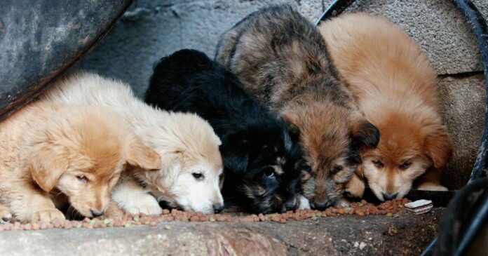 koutavia 1 1200x630.jpg koutavia 1 1200x630.jpg