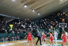 koyklakia 1200x630.jpg