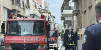 lamia diamerisma 1200x630.jpg