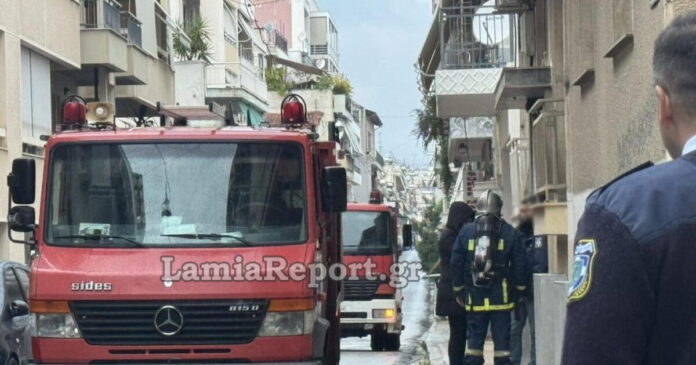 lamia diamerisma 1200x630.jpg