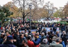 larisa agrotes 1200x630.jpg