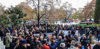 larisa agrotes 1200x630.jpg