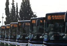 leoforeia87 1200x630.jpg