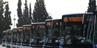 leoforeia87 1200x630.jpg