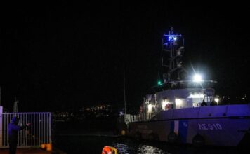 limeniko 1 1200x630.jpg