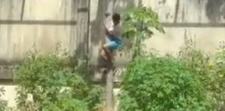 liontari vrazilia 1 1200x630.jpg