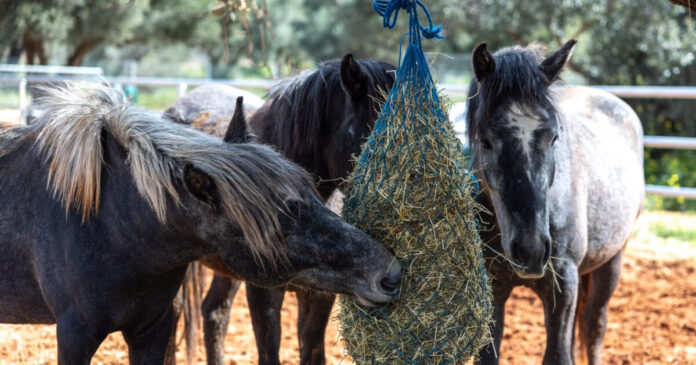 lpr51478 1200x630.jpg lpr51478 1200x630.jpg