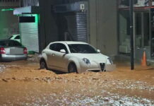 madra plimmires 1200x630.jpg