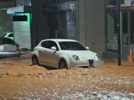 madra plimmires 1200x630.jpg