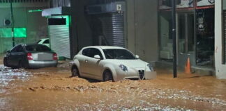 madra plimmires 1200x630.jpg