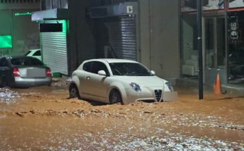 madra plimmires 1200x630.jpg