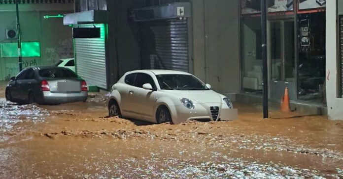 madra plimmires 1200x630.jpg