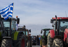 malgara agrotes 1200x630.jpg