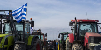 malgara agrotes 1200x630.jpg