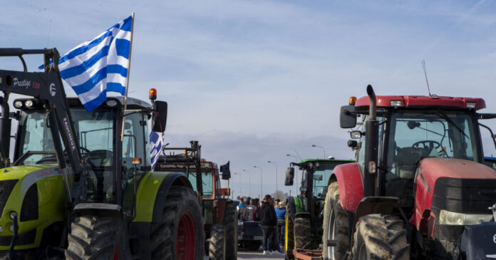 malgara agrotes 1200x630.jpg