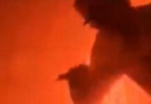 man hawai 1200x630.jpg