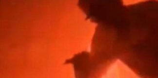 man hawai 1200x630.jpg