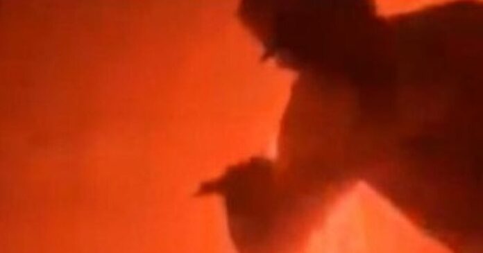 man hawai 1200x630.jpg