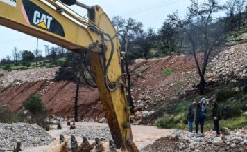 mandra 1 1200x630.jpg