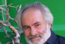 manolis skoulas 1200x630.jpg