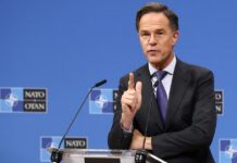 mark rutte 1 1200x630.jpg