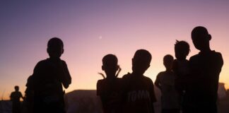 metanastes 1200x630.jpg