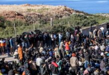 metanastes 2 1200x630.jpg