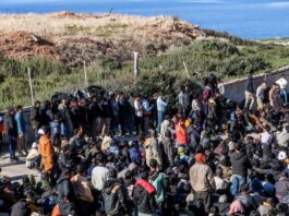 metanastes 2 1200x630.jpg