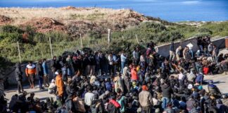 metanastes 2 1200x630.jpg