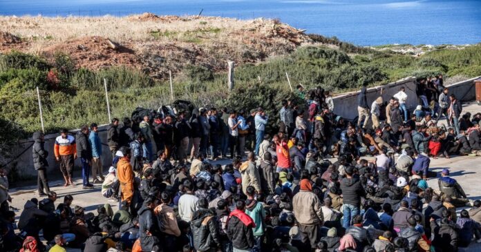 metanastes 2 1200x630.jpg