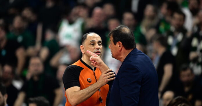 mogulkoc 1200x630.jpg