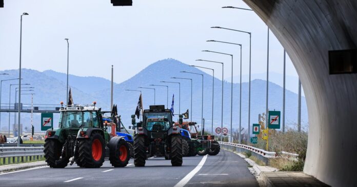 mploka 2 1200x630.jpg