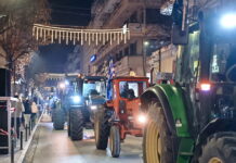 mploka agrotes 1 1200x630.jpg