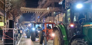 mploka agrotes 1 1200x630.jpg