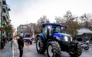 mploka agrotes 1200x630.jpg