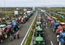 mploka agrotes eurok 1 1200x630.jpg