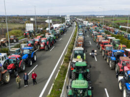 mploka agrotes eurok 1 1200x630.jpg