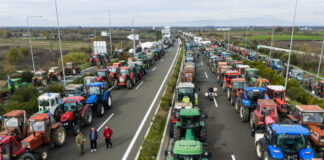 mploka agrotes eurok 1 1200x630.jpg