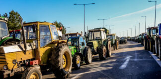 mploka agrotes eurok 1200x630.jpg