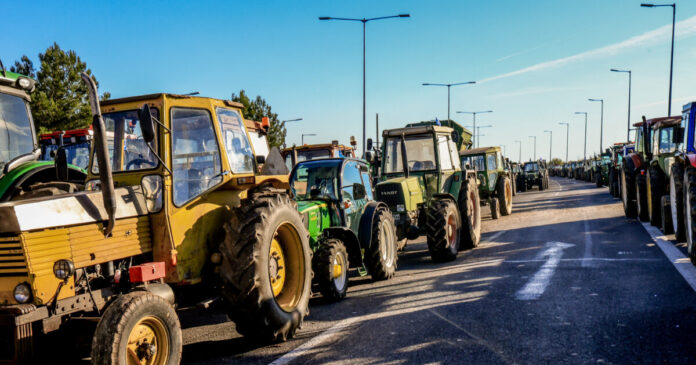 mploka agrotes eurok 1200x630.jpg