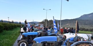 mploka agrotes eurok 3 1200x630.jpg