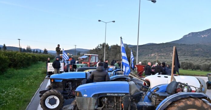 mploka agrotes eurok 3 1200x630.jpg