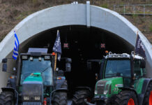 mploka agrotes eurok1 1200x630.jpg