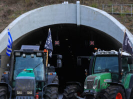 mploka agrotes eurok1 1200x630.jpg