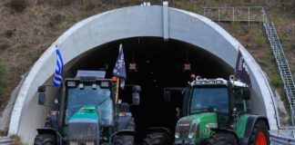 mploka agrotes eurok1 1200x630.jpg