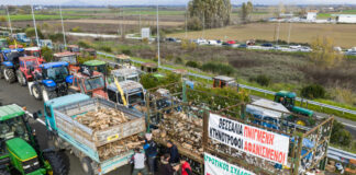 mploka agrotes trakter 1200x630.jpg