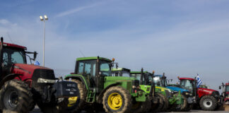 mploka agroton eurok 1200x630.jpg